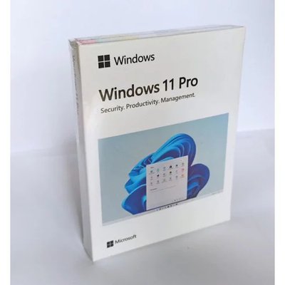 Windows 11 Pro Box