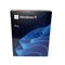 Купить Windows 11 Pro BOX 64-bit FPP Russian NtR USB (HAV-00199)
